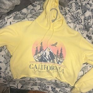 Hollister cropped hoodie